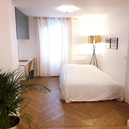 Champs Elysees Luxury Apartment Paris